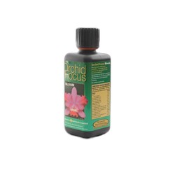 Engrais Orchid Focus Bloom 300ml - 1L - La solution pour des floraisons exceptionnelles