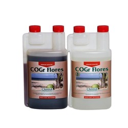 Canna COGR Flores A+B