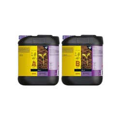 ATAMI B'Cuzz Bodendünger - Terre Nutrition A+B