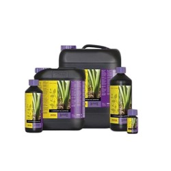 B'Cuzz 1 Fertilizer - Component Terre