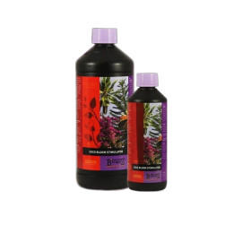 Coco Bloom Stimulator B'cuzz Bloom ATAMI | HydroParadise