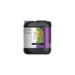 ATAMI B'cuzz Boost Silic - additif en silicium