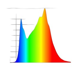 HLG 300L BSpec - Quantum Board