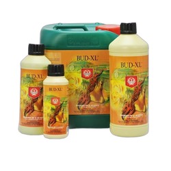 Bud XL - Flavor enhancer - House & Garden