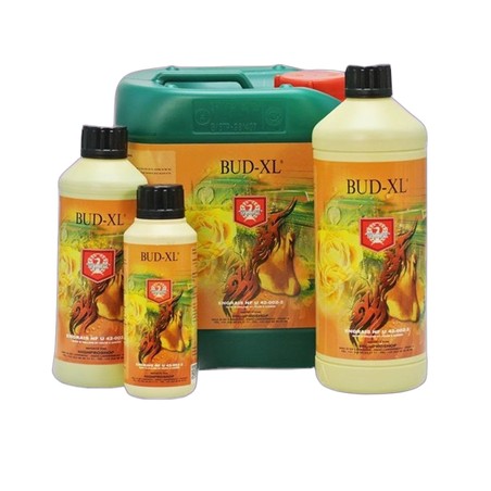 Bud XL - Flavor enhancer - House & Garden