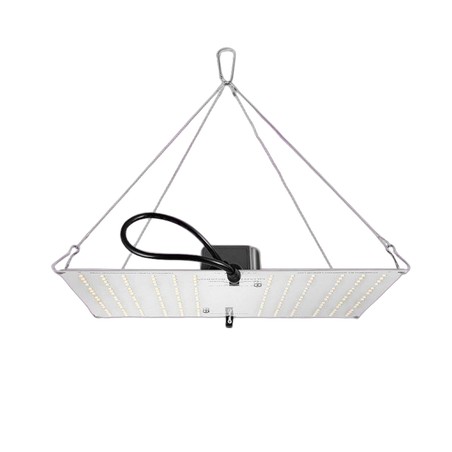 HLG 100 4000K - Panneau horticole LED - LEDs Samsung LM301H - Livré avec prise EU