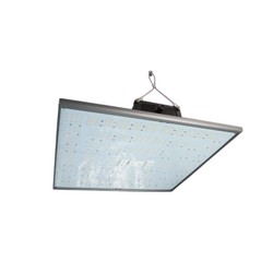 PURELED Q150 – Wachstum und Blüte von LED-Panels für den Gartenbau