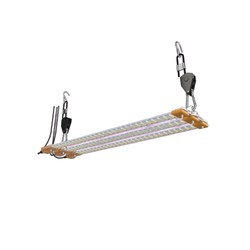 Cosmorrow 60W-Kits für die Blüte – Secret Jardin