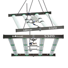SpectraWILD S320 - 320W Gartenbau-LED-Beleuchtung | HydroParadise