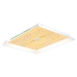 Mars Hydro TS 1000 : LED Horticole 150W | HydroParadise