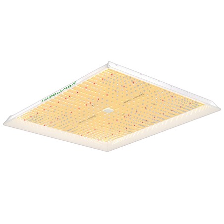 Mars Hydro TS 3000 – Samsung Gartenbau-LED-Panel