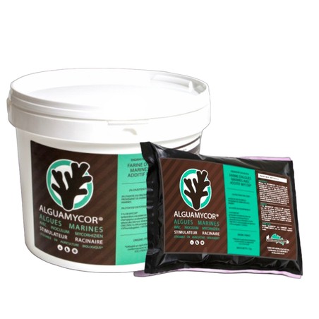 Guano Diffusion Alguamycor