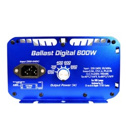 Ballast Digital Superplant - Réglable 250W/600W pour Éclairage de Culture