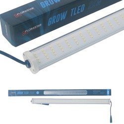 Rampe horticole TLED FloraSTAR 26W 55cm Growing - 6500K - Croissance