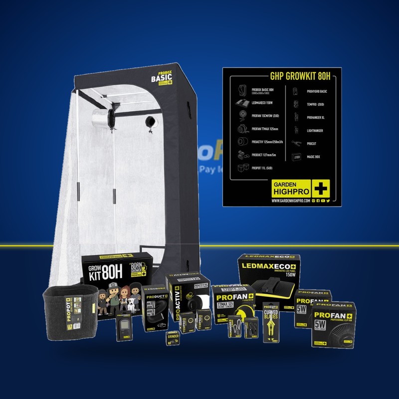 Kit Cultivo Completo 80x80 LED Garden Highpro | HydroParadise