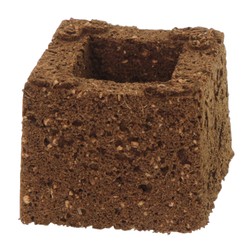 Bloque Coco Eazy Plug 7.5x7.5x6cm | Germinación | HydroParadise