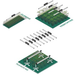 Acheter Barre LED ThinkGrow TLB2 150cm | GrowLED