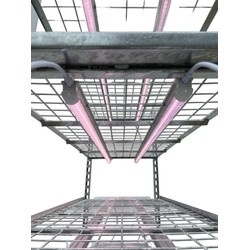 Acheter Chariot de Propagation VDL - 2250 Plants | GrowLED