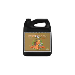 Sensi Bloom Coco B pH Perfect Advanced Nutrients | HydroParadise