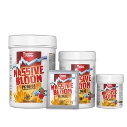 Booster de floraison Massive BLOOM - Hydropassion