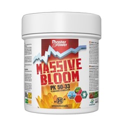 Massive BLOOM - Booster de floraison - Hydropassion