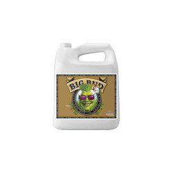 Big Bud Coco Advanced Nutrients | Blütestimulator | HydroParadise