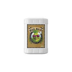 Big Bud Coco Advanced Nutrients | Stimulateur Floraison |...