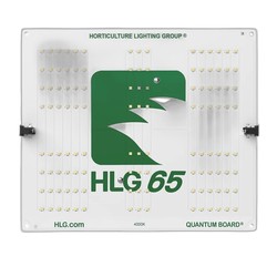 HLG 65 V2 - LED-Gartenbaulampe - 4000K