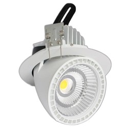 Spot LED Encastrable 50W 360° - Lampe pour murs végétaux et design végétal - LED CREE