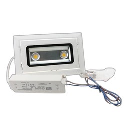 Spot LED Encastrable 40W - Lampe LED idéale pour murs végétaux - LEDs CREE