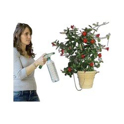 Tête de pulvérisateur Universelle Ribimex