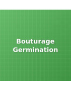 Bouturage & Germination