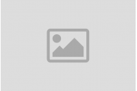 LED vs HPS : Quel Éclairage Choisir pour sa Culture Indoor ?